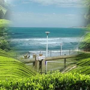 Meet your Posher, Sandi